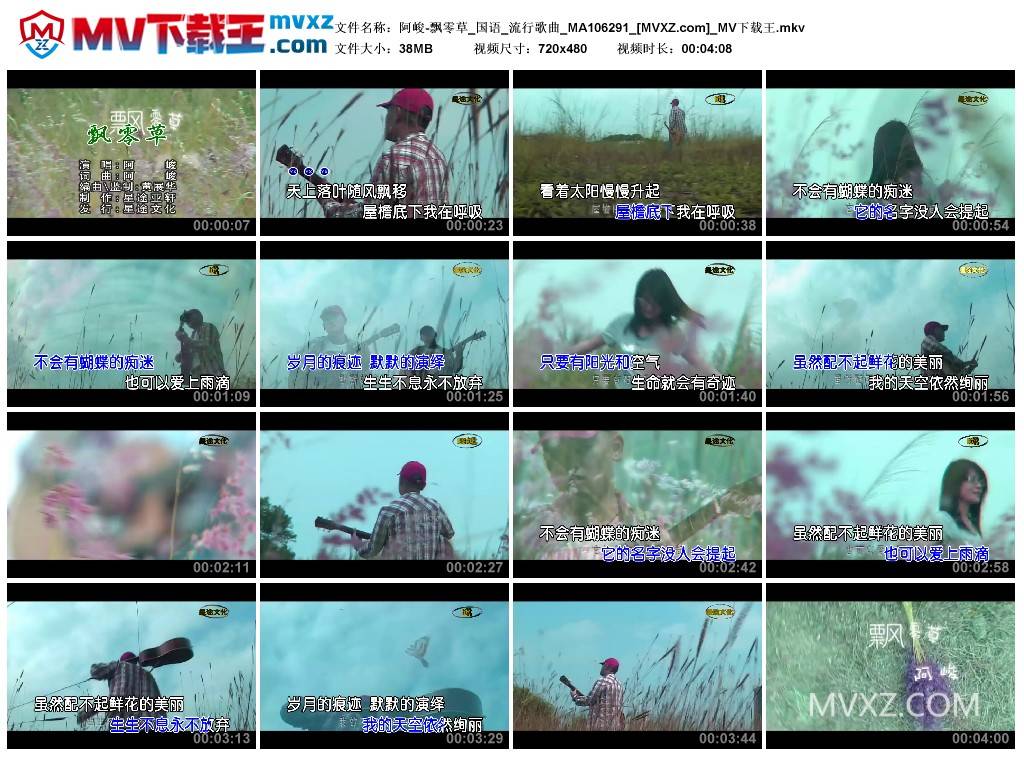阿峻-飘零草_国语_流行歌曲_MA106291